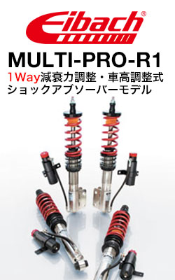 アイバッハ (Eibach) 車高調ショックアブソーバー(ShockAbsorbser) プロストリートS(PRO-STREET-S)