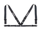 XpR(SPARCO)@V[gxg